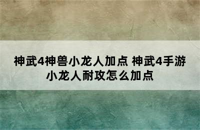 神武4神兽小龙人加点 神武4手游小龙人耐攻怎么加点